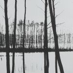 597010 Fotografik